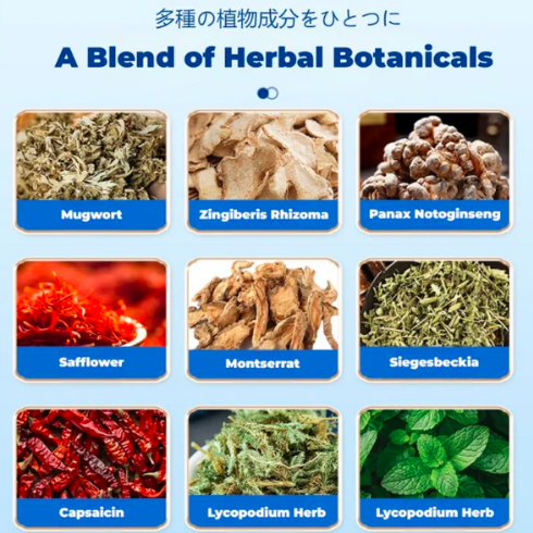 Japan Pain Relieving Patch