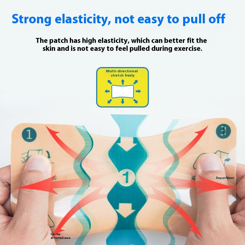 Japan Pain Relieving Patch